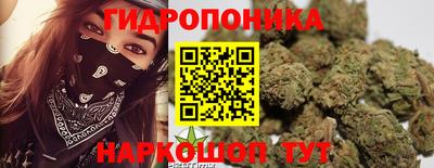 jwh Новодвинск
