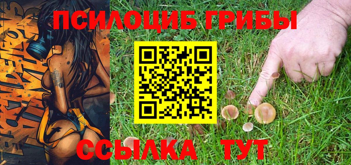 Алексеевка  купить наркоту  Вход с VPN  Псилоцибиновые грибы Magic Shrooms  Галлюциногенные грибы ЛСД 