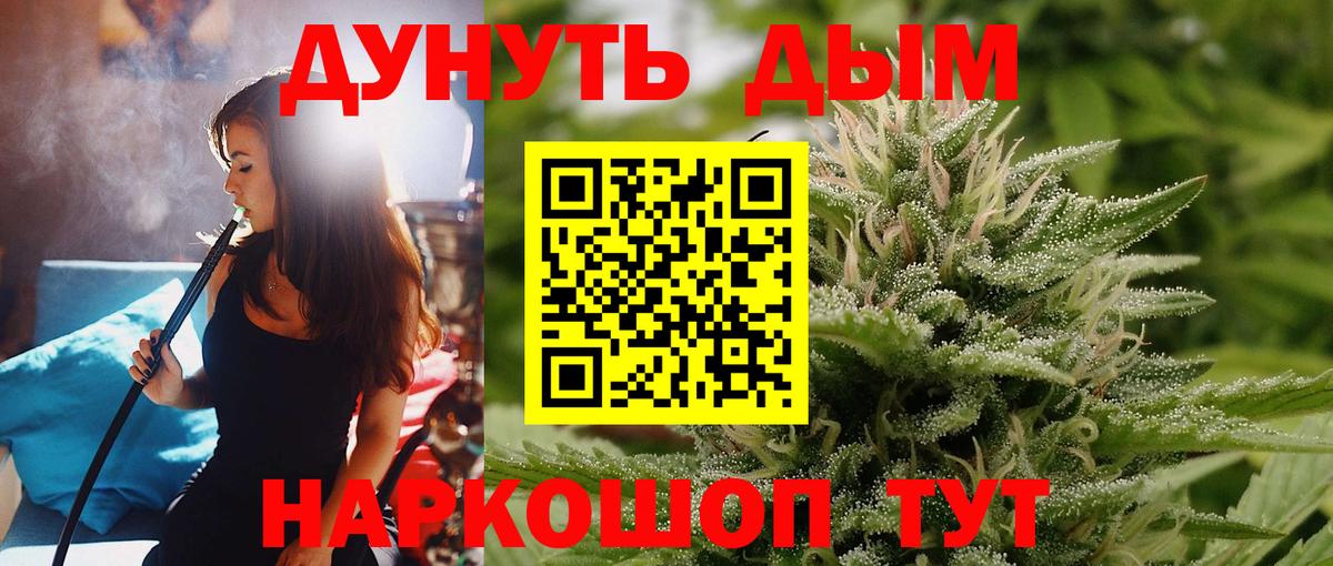 Конопля сатива Алексеевка